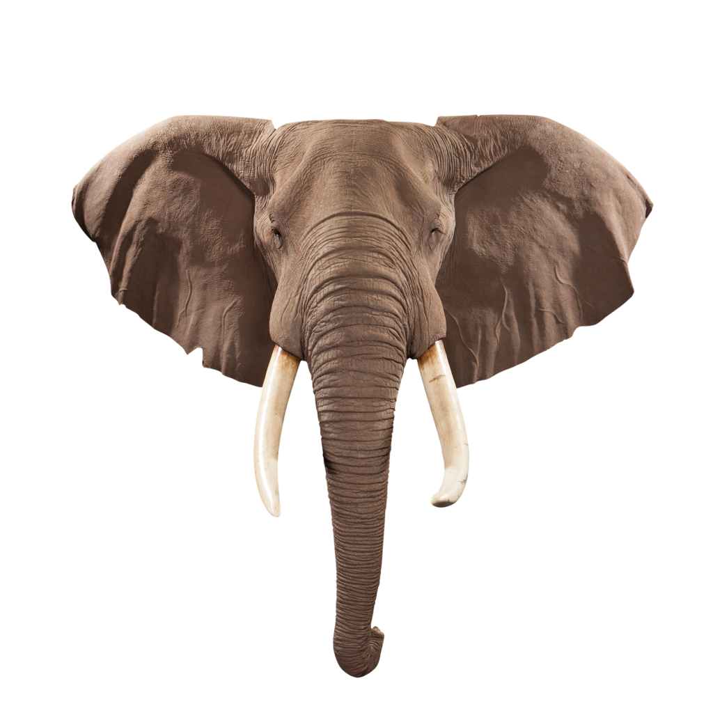 Limited Edition Replica Elephant - Mosaic Wings main image 0