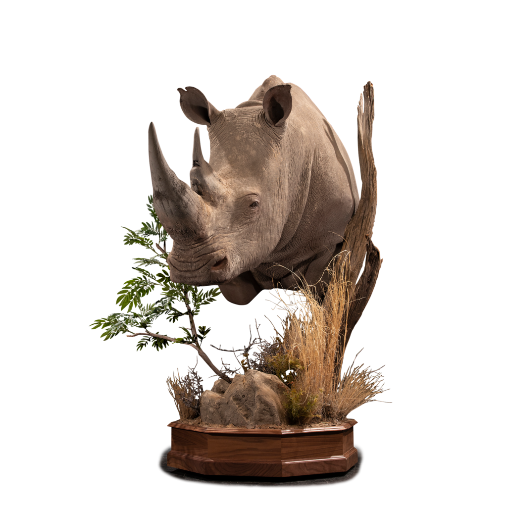 White Rhino Replica RR106 : Our Work | Kanati Studio